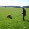 2008_kurshpschaller_DSC02090