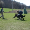 2008_kurshpschaller_DSC02118