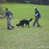 2008_kurshpschaller_DSC02139