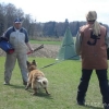 2008_kurshpschaller_DSC02146