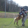 2008_kurshpschaller_DSC02149