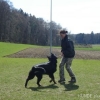 2008_kurshpschaller_DSC02182