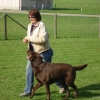 2008_kurshpschaller_okt_DSC02976