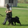 2008_kurshpschaller_okt_DSC03000