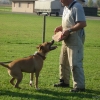 2008_kurshpschaller_okt_DSC03009