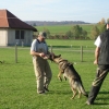 2008_kurshpschaller_okt_DSC03011