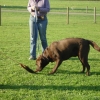 2008_kurshpschaller_okt_DSC03028
