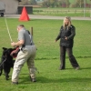 2008_kurshpschaller_okt_DSC03042