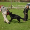 2008_kurshpschaller_okt_DSC03046