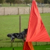 2008_kurshpschaller_okt_DSC03072