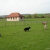 2008_kurshpschaller_okt_DSC03085