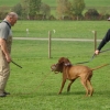 2008_kurshpschaller_okt_DSC03088