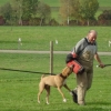 2008_kurshpschaller_okt_DSC03092