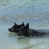 2008_kurslangenamming_DSC02540