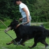 2008_kurslangenamming_DSC02586