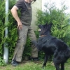 2008_kurslangenamming_DSC02597