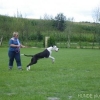 2008_kurslangenamming_DSC02664