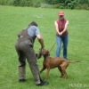 2008_kurslangenamming_DSC02698