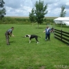 2008_kurslangenamming_DSC02701