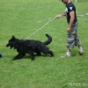 2008_kurslangenamming_DSC02705