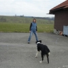 2010_longieren_DSC05763