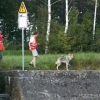 2011_mantrail_PICT2071