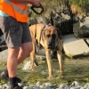 2012_mantrail_IMG_2118