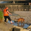 2012_mantrail_IMG_2121