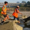 2012_mantrail_IMG_2131