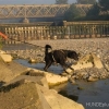 2012_mantrail_IMG_2133