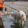 2012_mantrail_IMG_2141
