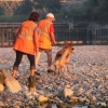2012_mantrail_IMG_2156