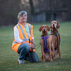2021_hundeplus_mantrail_77d05c78-b9e1-49bf-a4a7-b58447ede1db