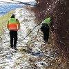 2021_hundeplus_mantrail_a2ccc0db-4a82-4c29-9b58-efd94ded12a1