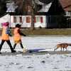 2021_hundeplus_mantrail_e4720335-7dc0-4512-b744-072f9e8d9255