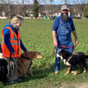 2024_hundeplus_mantrail_c16acc93-eb17-42bf-8ebe-7ae0d763abc8