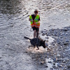 2024_hundeplus_mantrail_d949cbbb-0b21-4cce-82c3-346f88a56634