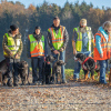2024_hundeplus_mantrail_ffe89dd4-e2b2-4891-8c8b-b985ab7b2415