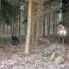 2010_mantrail_klingnau_DSC05678