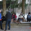 2010_mantrail_klingnau_DSC05683