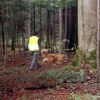 2009_mantrail_oktober_DSC09483