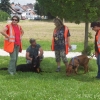 2009_mantrailkurs_osterhofen_100_5370
