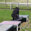 2021_hundeplus_mdnadaclong_63da7a7b-4d1b-4a8f-8d96-30590ad67d46