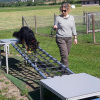 2021_hundeplus_mdnadaclong_71465dbf-524c-448f-b633-a218fb76d7c4