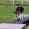 2021_hundeplus_mdnadaclong_847d122c-7d5e-4797-be11-7942bc5c3a71