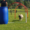 2021_hundeplus_mdnadaclong_b7ef5a26-46c1-41e6-8753-03a4481c9bed