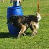 2021_hundeplus_mdnadaclong_c5a91c77-2283-46ca-97bb-0e6cb19408e1
