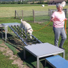 2021_hundeplus_mdnadaclong_cbd7b35f-3f20-4cec-bf99-a97c4ee547ac
