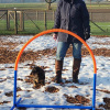 2021_hundeplus_micadog-nadag_a69ffdd0-c5d6-42dd-9b21-e558c275b20b