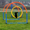 2021_hundeplus_micadog-nadag_bcc00a57-20a2-49e1-bfaa-f12f5d2c834f